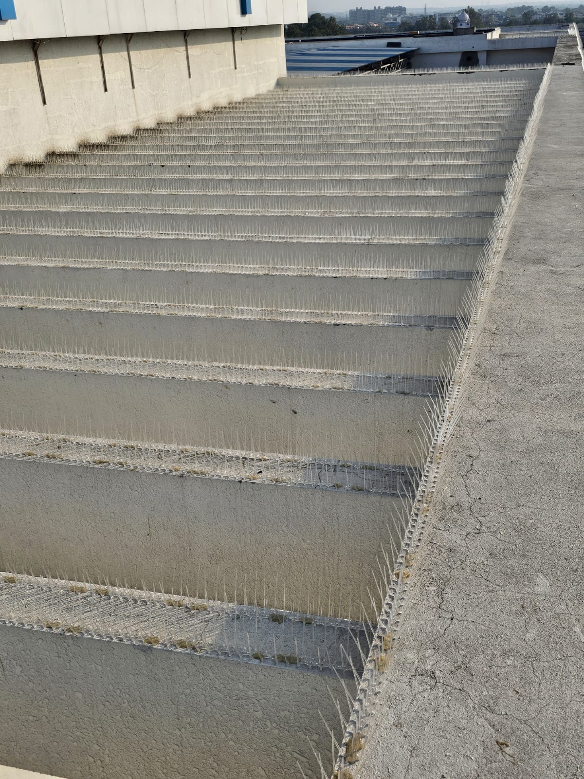 Stepped rooftop wall fitted with bird spikes
