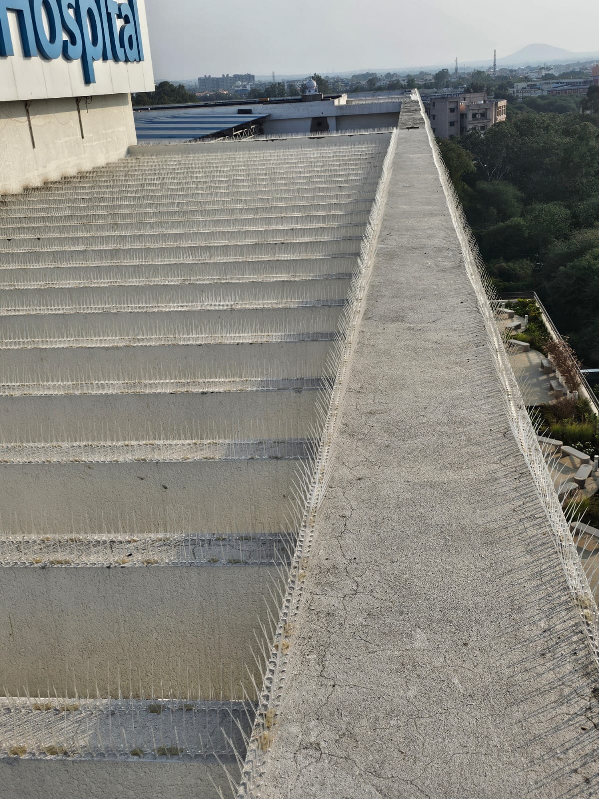 Bird spikes installed along hospital rooftop edge
